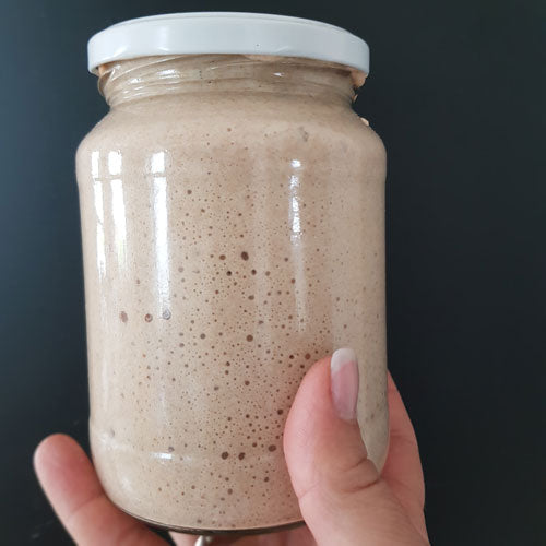 Sauerteig selbst ansetzen